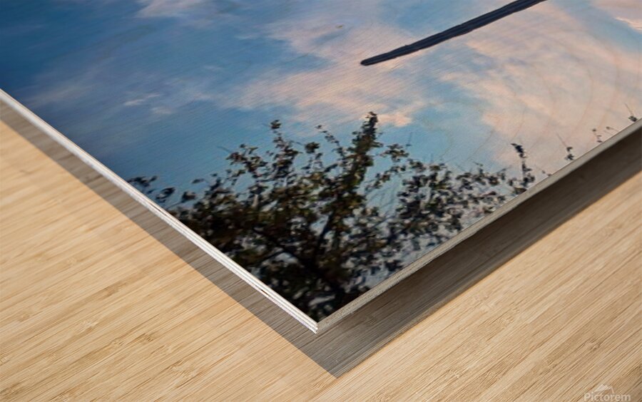 2461170 :: Wood Print
