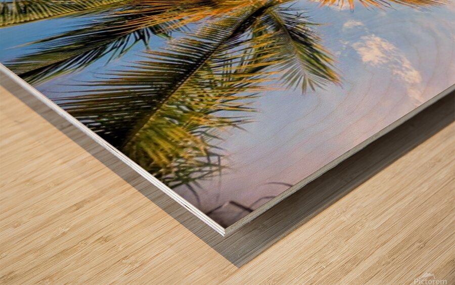 2467865 :: Wood Print