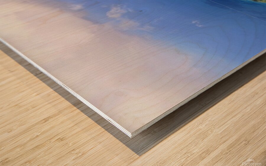 2467876 :: Wood Print