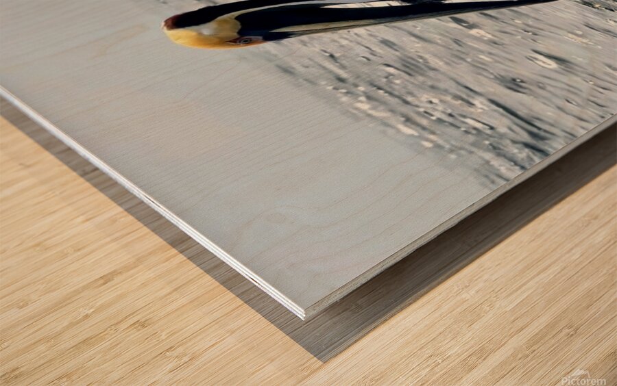 2476955 :: Wood Print