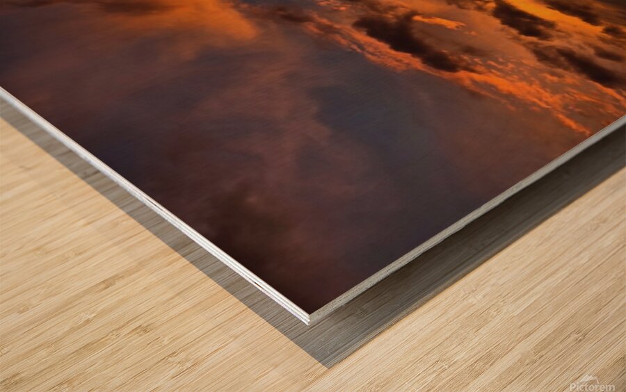 2477324 :: Wood Print