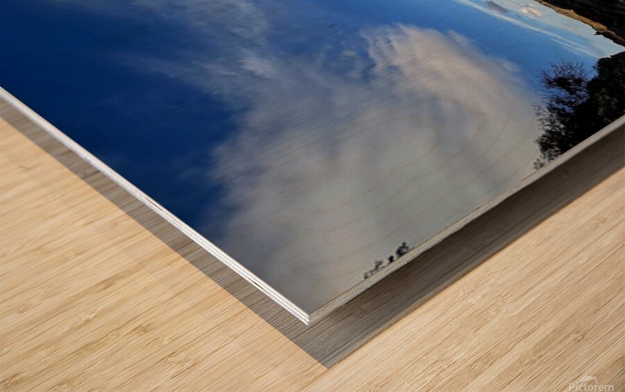 2512968 :: Wood Print