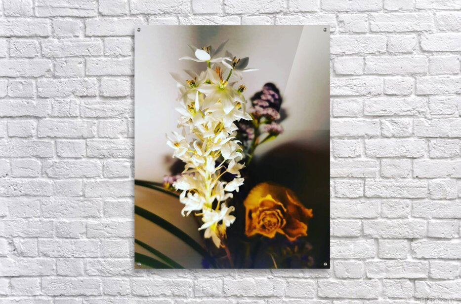 Acrylic Print