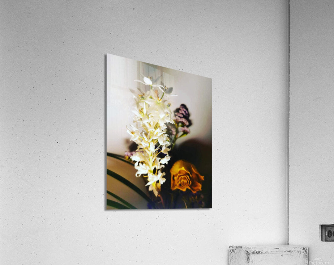 Acrylic Print