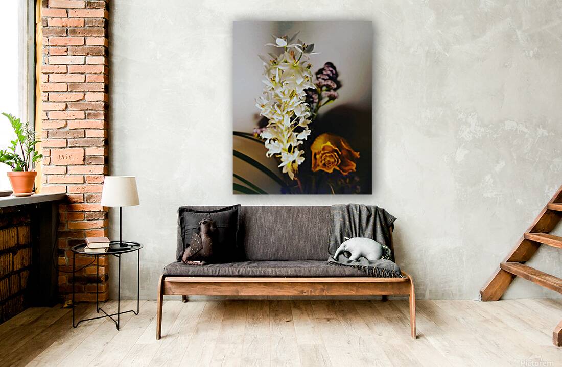 Giclée Stretched Canvas Print